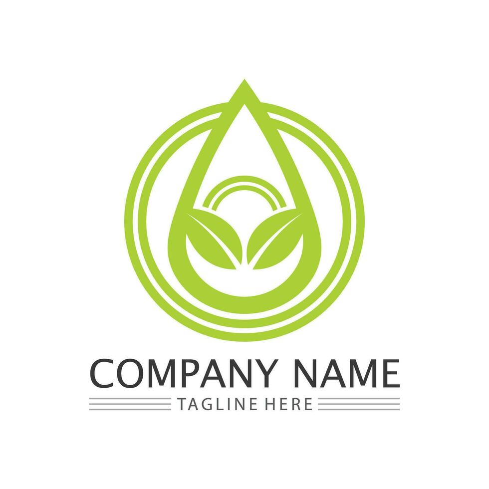 Eco Energy Vector Logo with leaf symbol. Green color with flash or thunder graphic. Nature and electricity renewable. This logo is suitable for technology, recycle, organic.