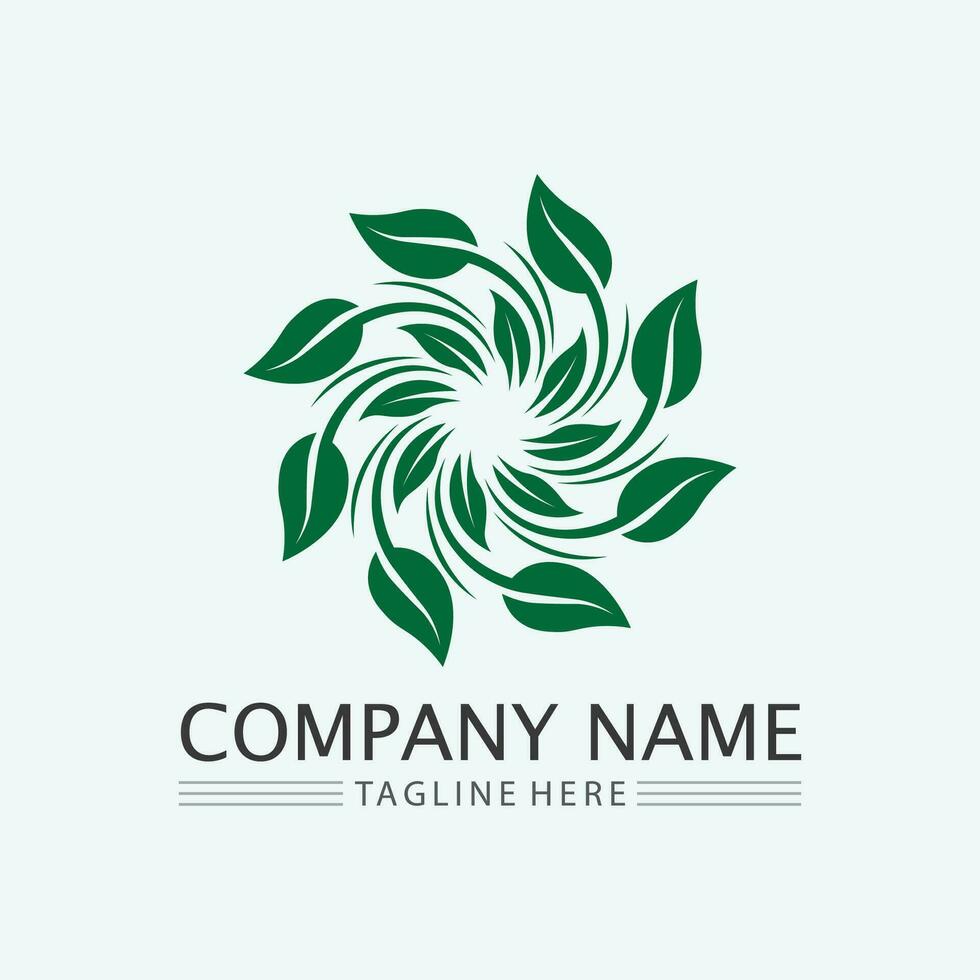 leaf logo design vector for nature symbol template editable,Green leaf logo ecology nature element vector icon.