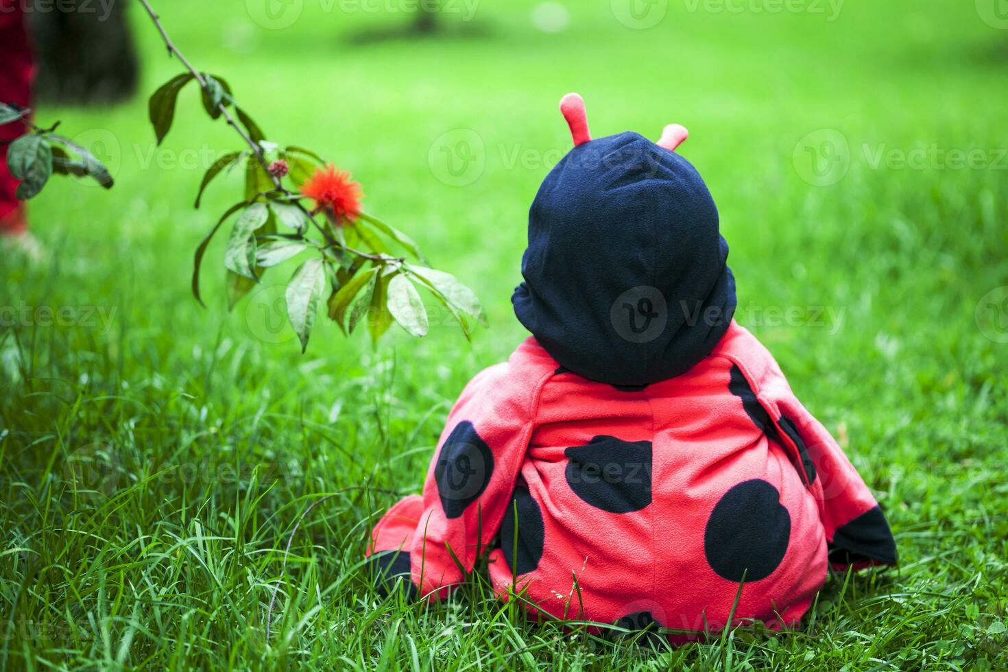 Little baby girl wearing a ladybug costume. Halloween concept. photo