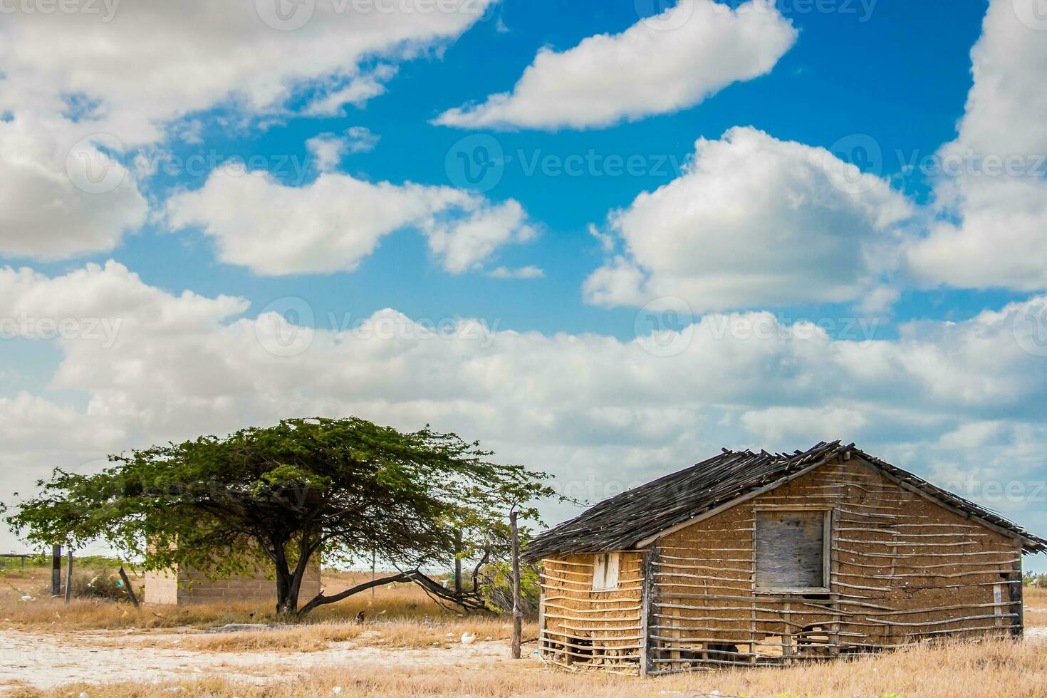 Traditional adobe house on the desert under blue sky in La Guajira in Colombia photo