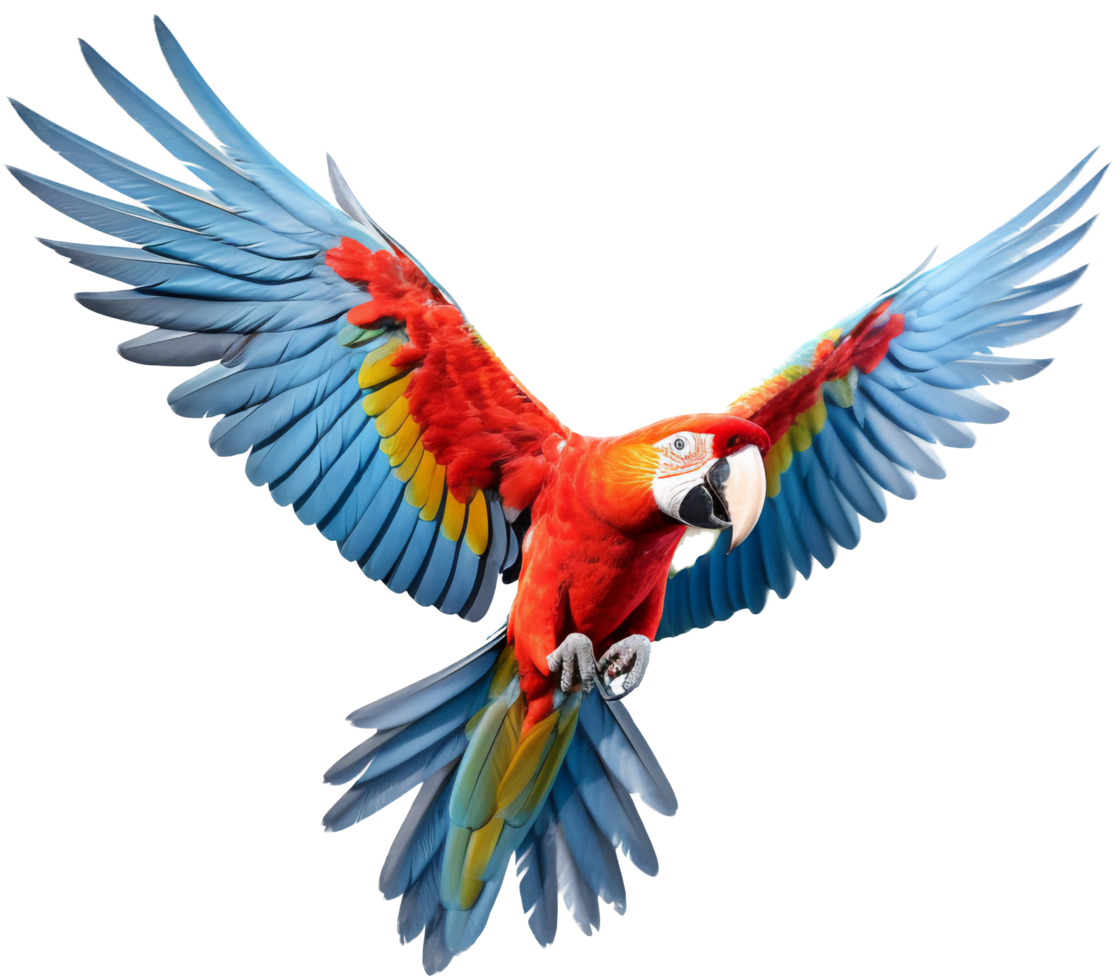 Parrot png with AI generated.