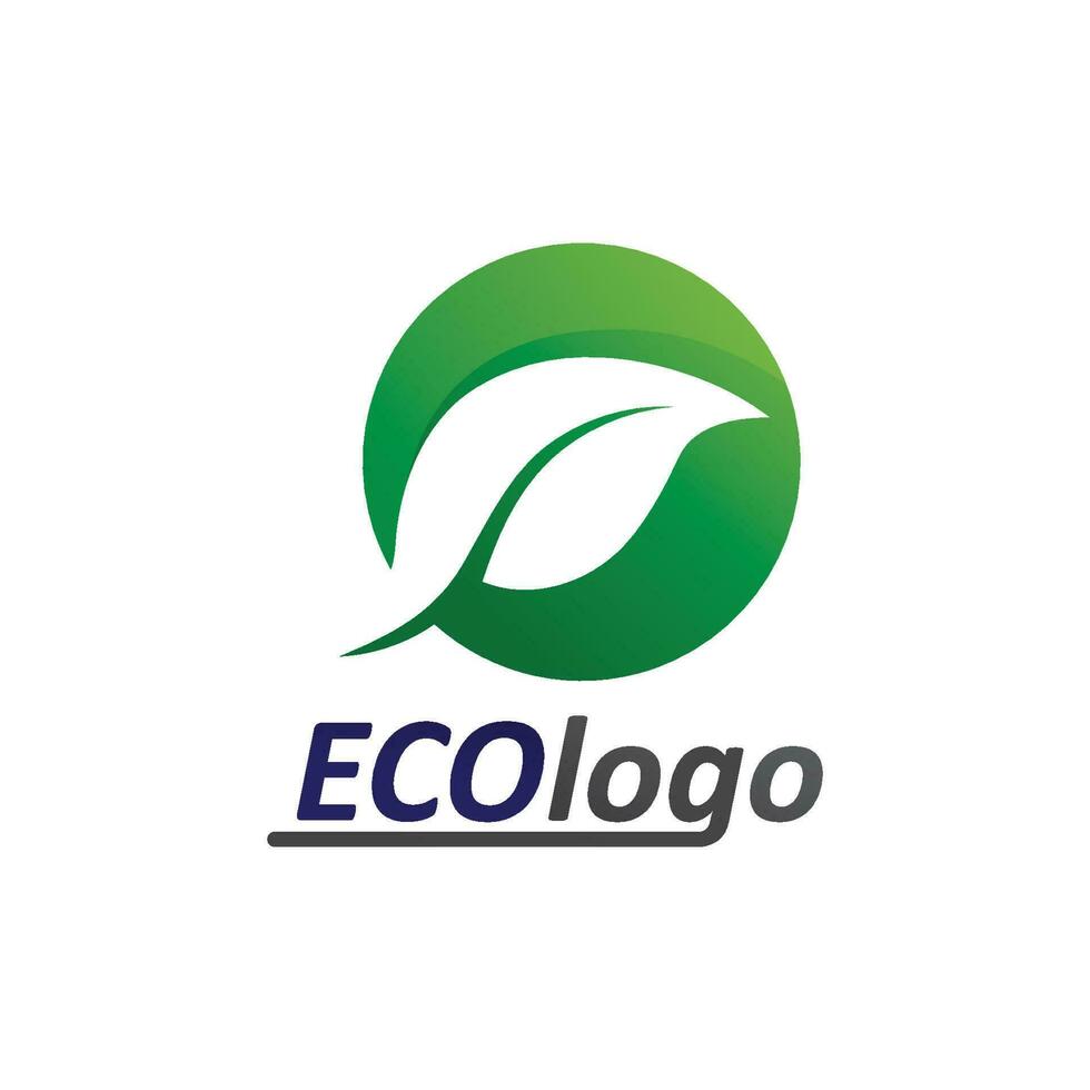 logotipos de la ecología de la hoja del árbol verde vector