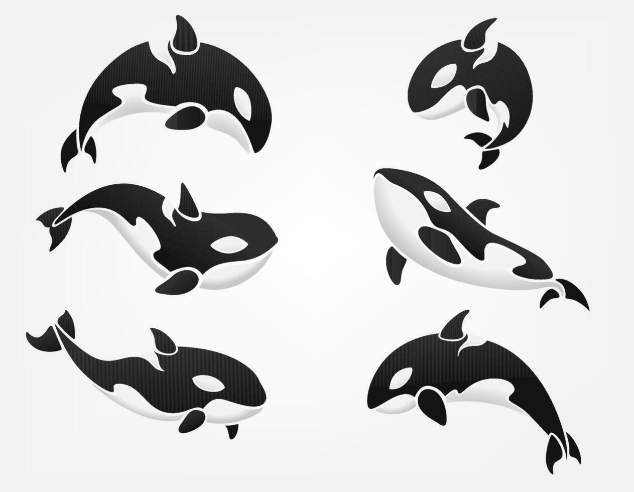 Orca Logotype Set, Vector Illustration