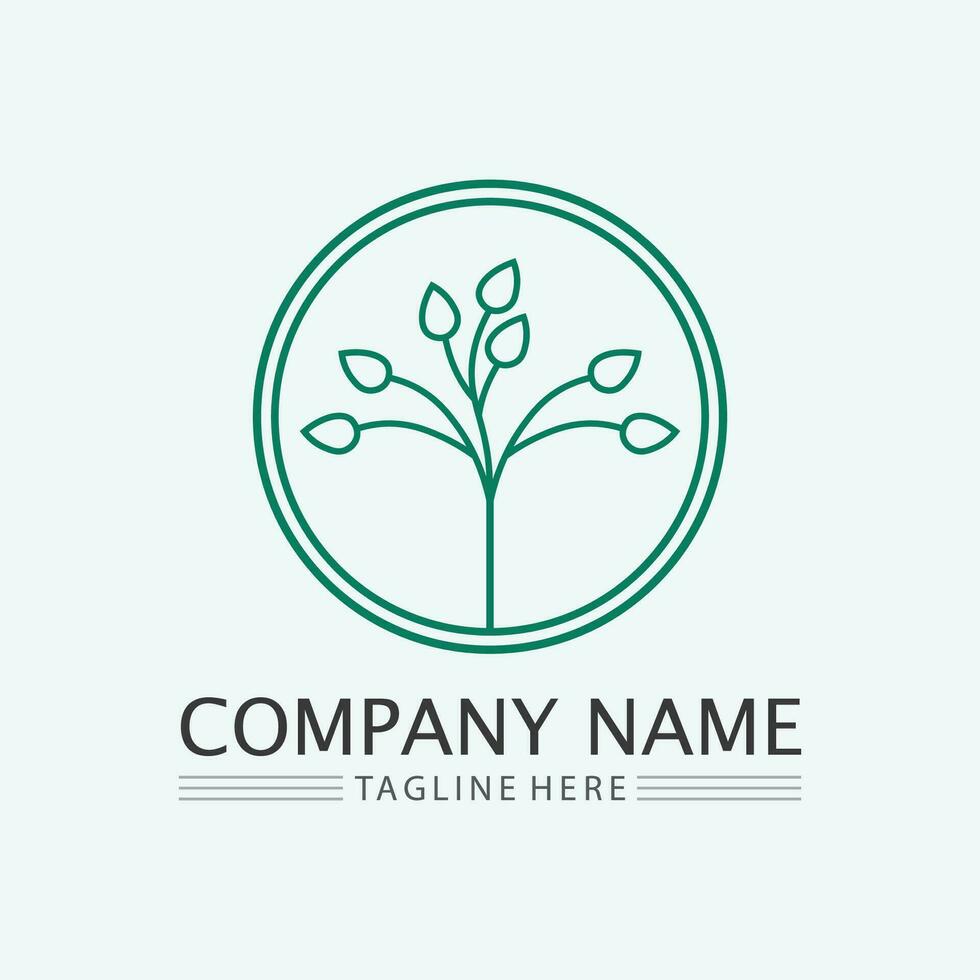 leaf logo design vector for nature symbol template editable,Green leaf logo ecology nature element vector icon.