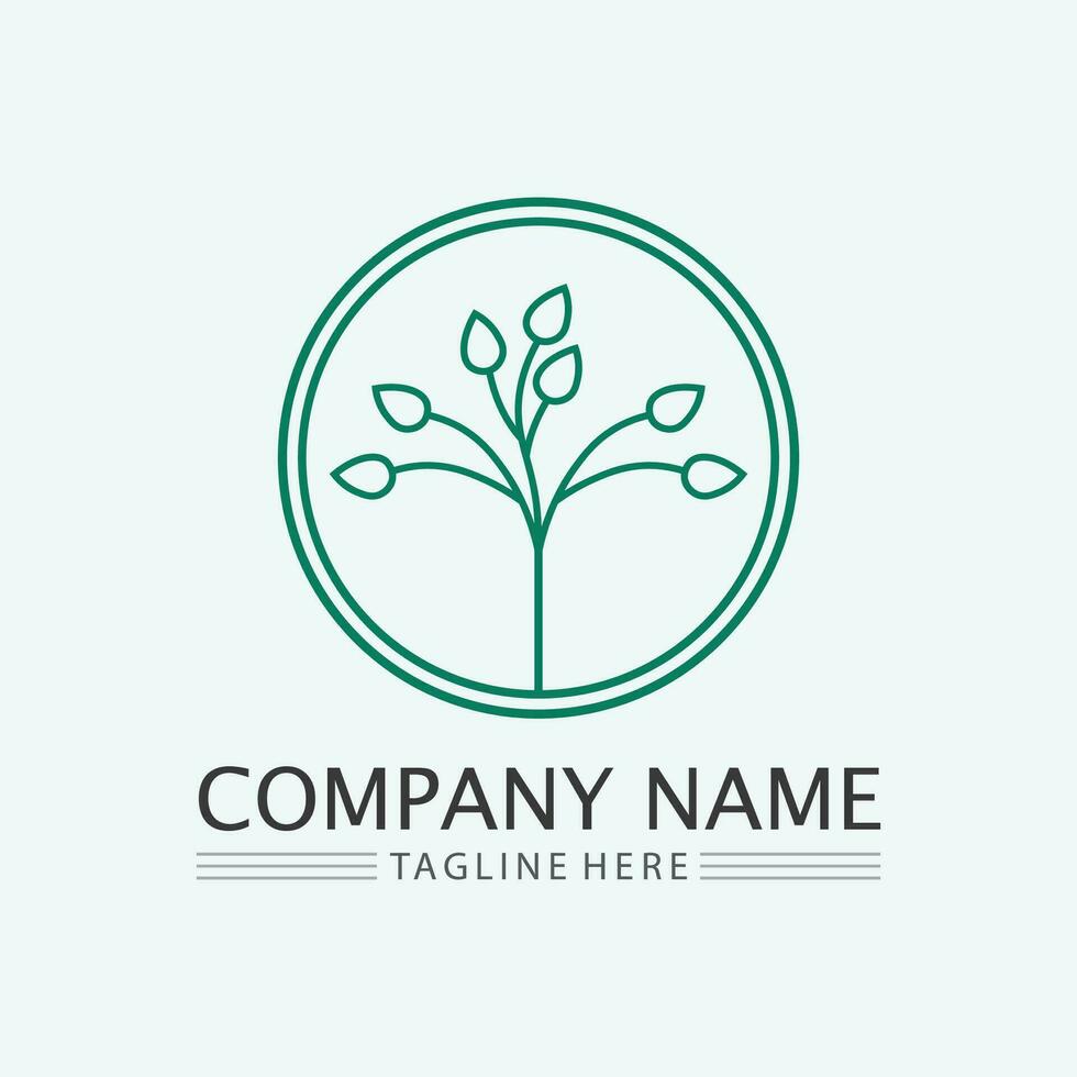 leaf logo design vector for nature symbol template editable,Green leaf logo ecology nature element vector icon.