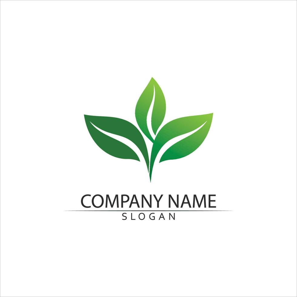 Tree leaf vector and green logo design friendly concept