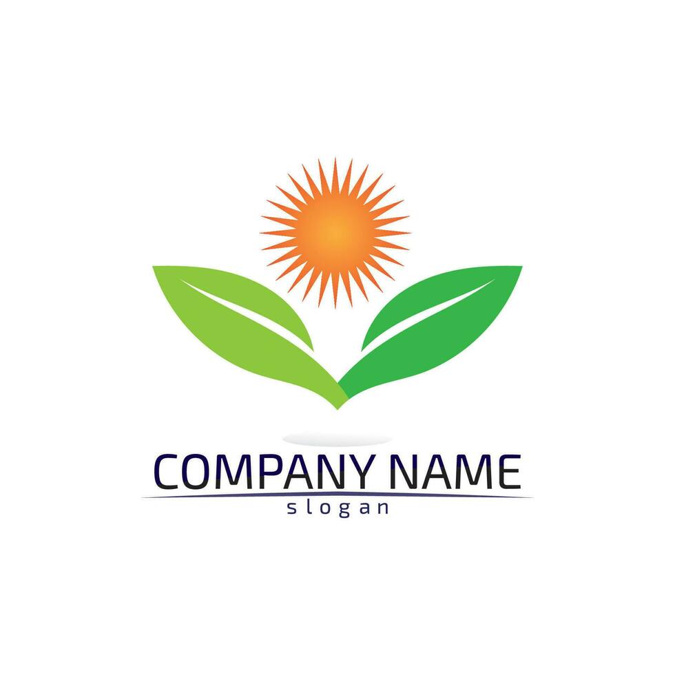 Tree leaf vector design eco friendly concept logo