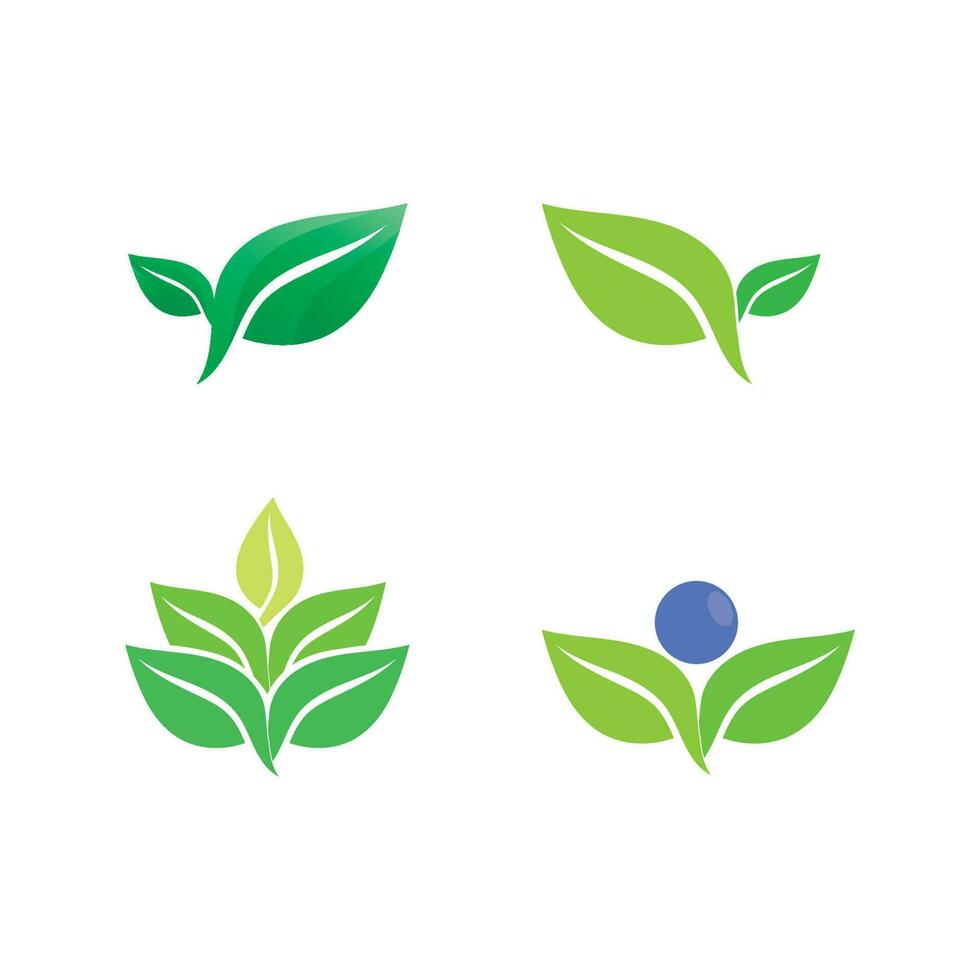 Tree leaf vector design eco friendly concept logo