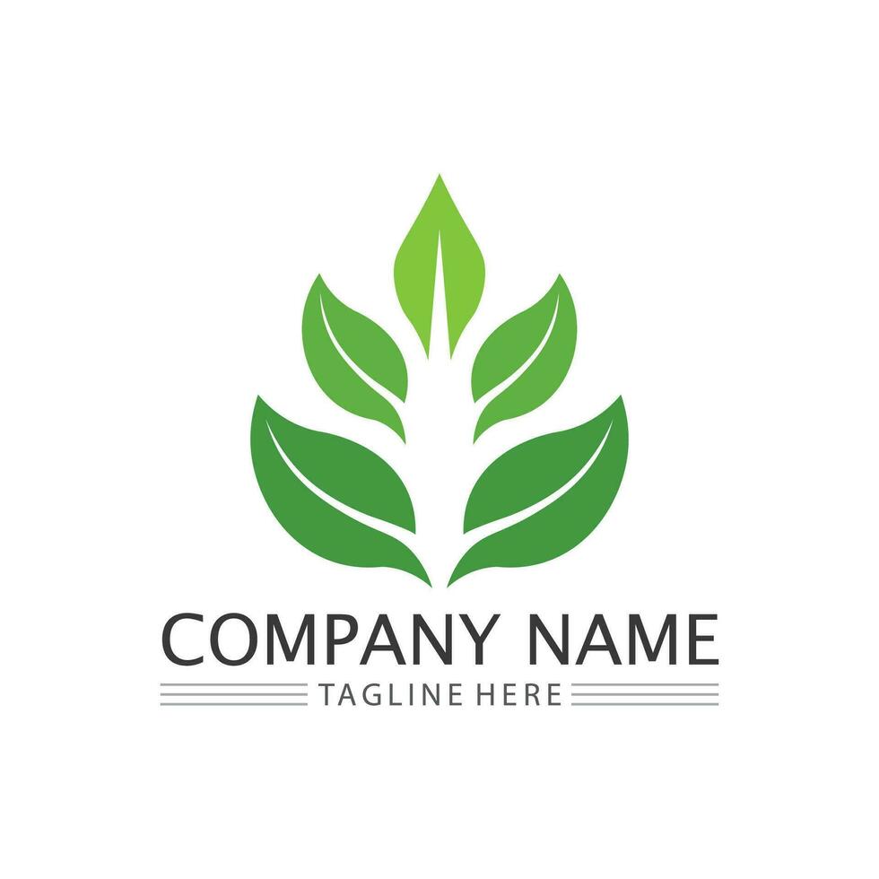 Eco Energy Vector Logo with leaf symbol. Green color with flash or thunder graphic. Nature and electricity renewable. This logo is suitable for technology, recycle, organic.