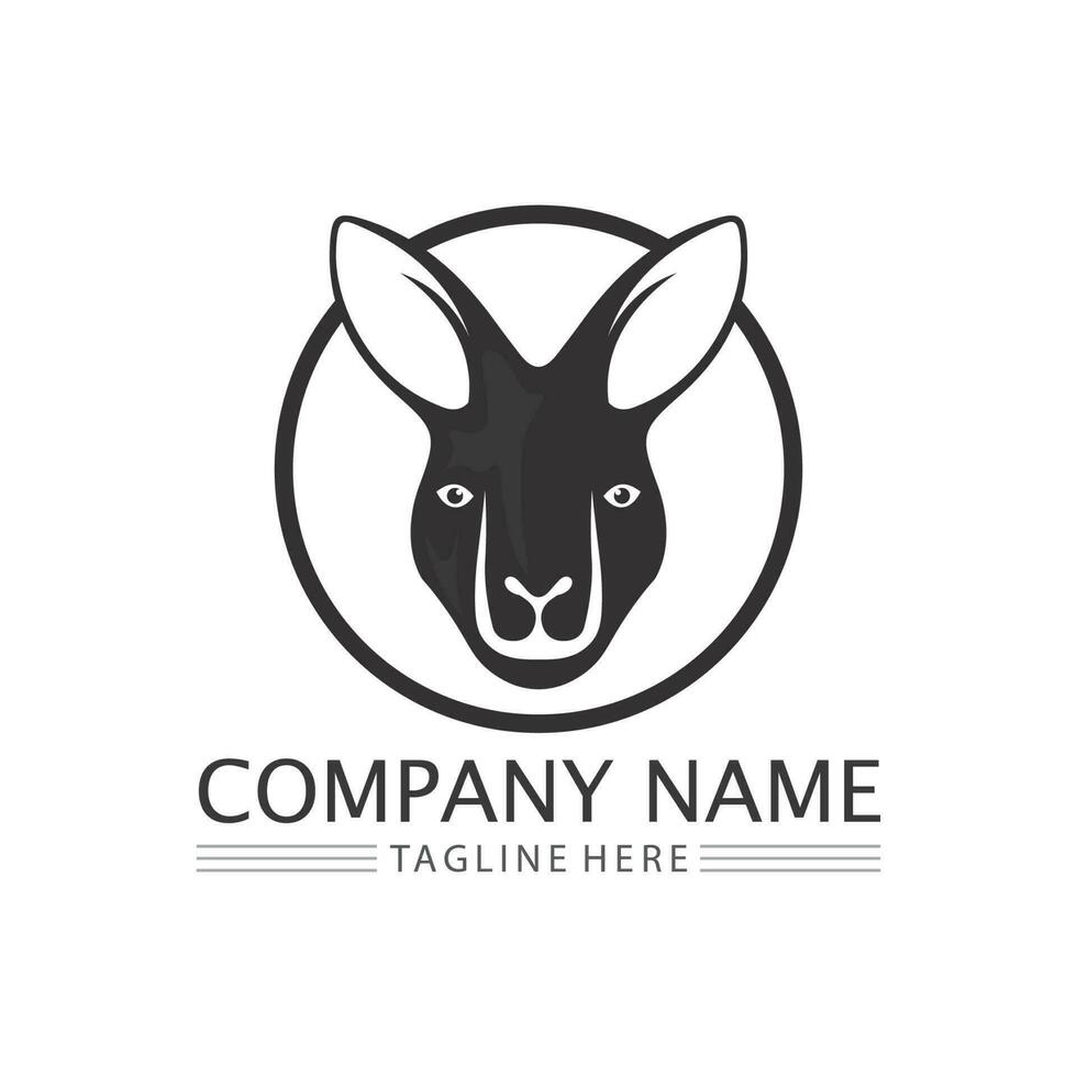 kangaroo animal logo and design vector illustrtion