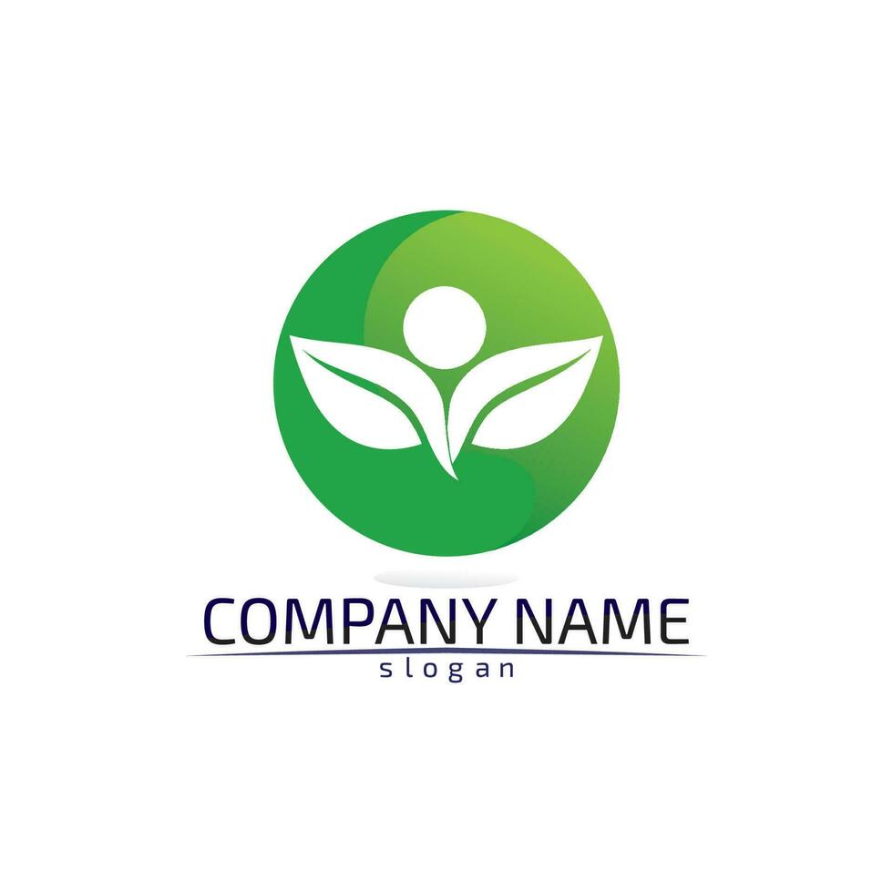 Tree leaf vector design eco friendly concept logo