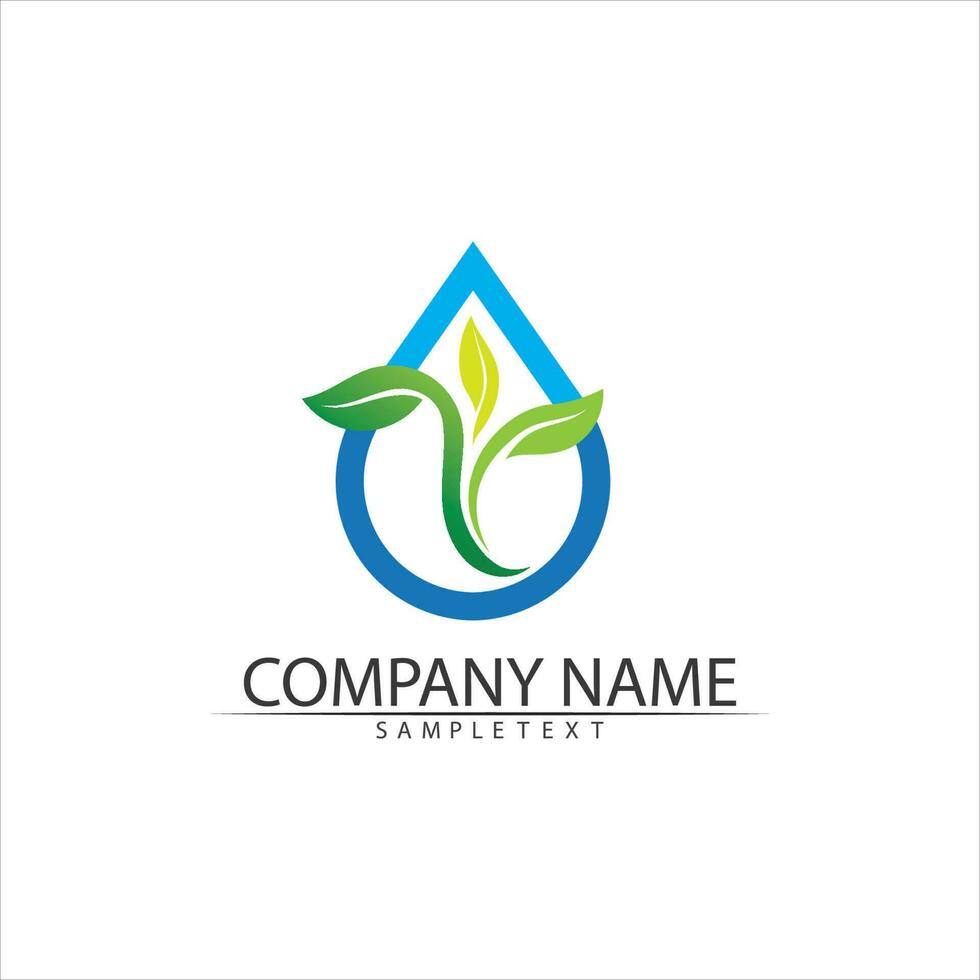 Water drop Logo Template vector