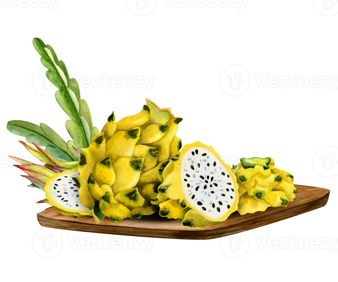 Yellow whole dragon fruit and slices on wooden board with cactus leaves watercolor illustration. Exotic pitahaya botanical for vegetarian exotic menus, summer juice bars png