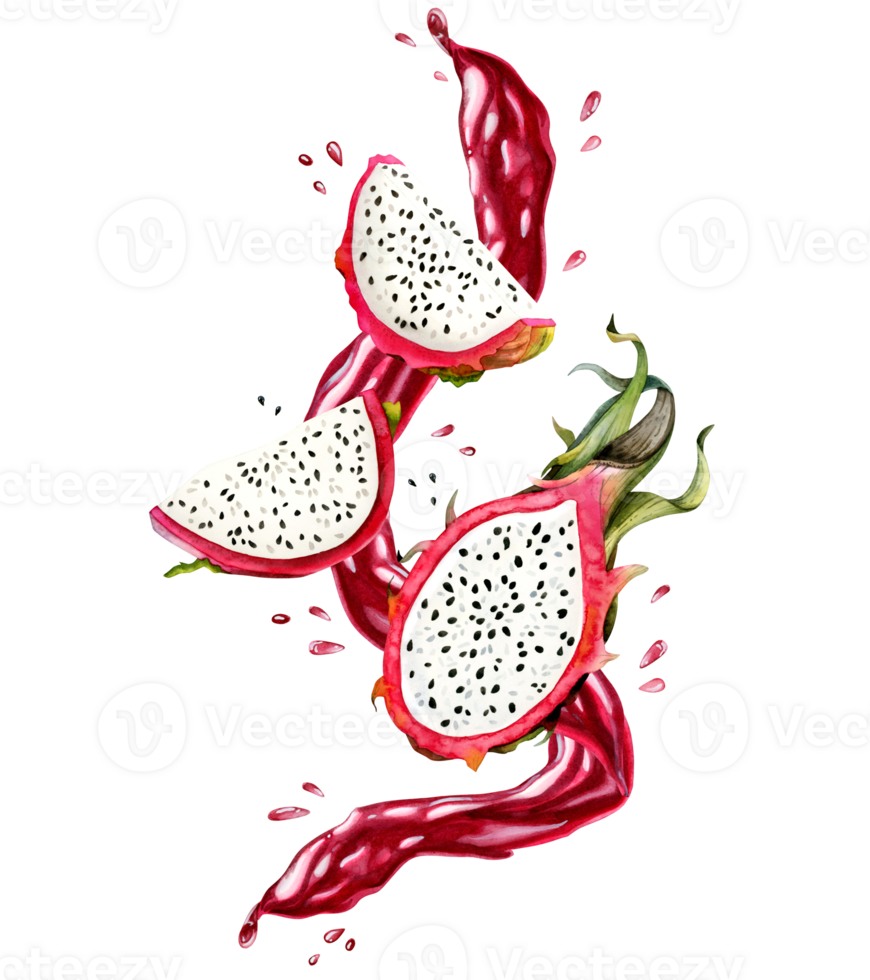 Drago frutta fette e succo levitazione con acquerello spruzzi e macchie mano disegnato illustrazione. succoso delizioso estate cibo clipart per ristorante, menù, cocktail png