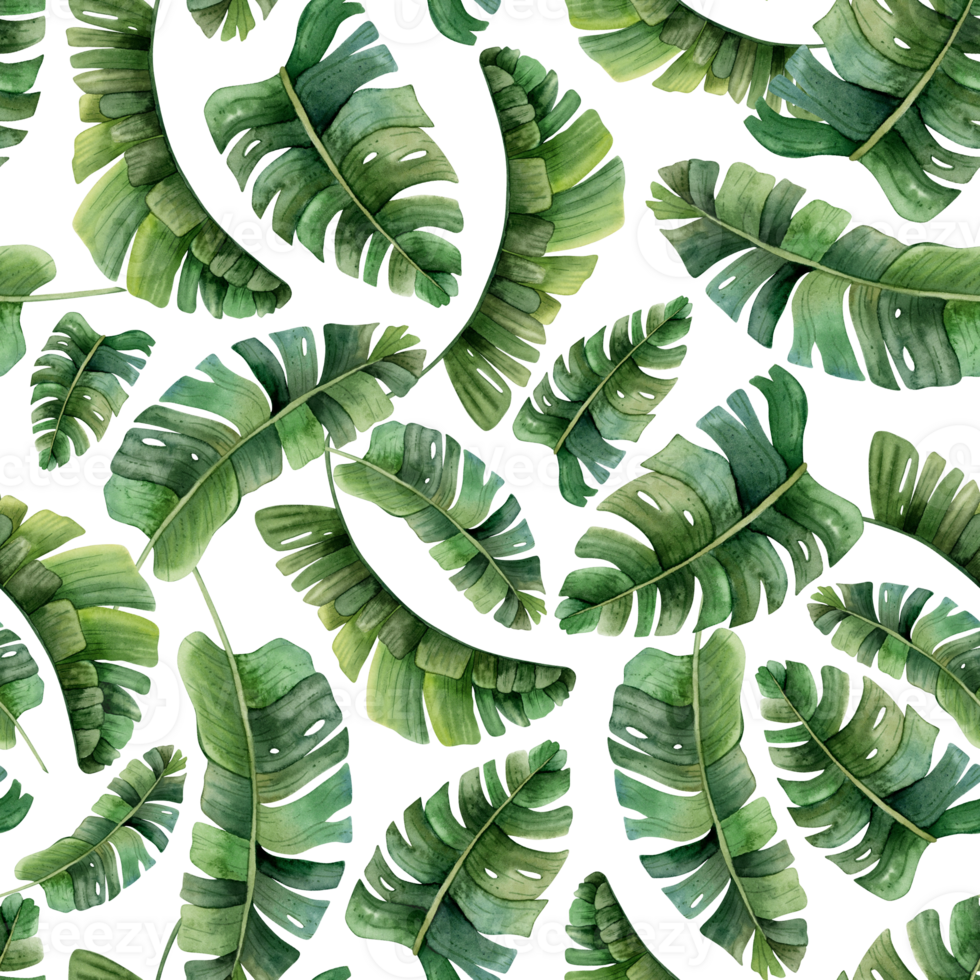 tropicale palma le foglie acquerello senza soluzione di continuità modello con verde giungla impianti. mano disegnato esotico natura per stampe, tessuto o sfondi png