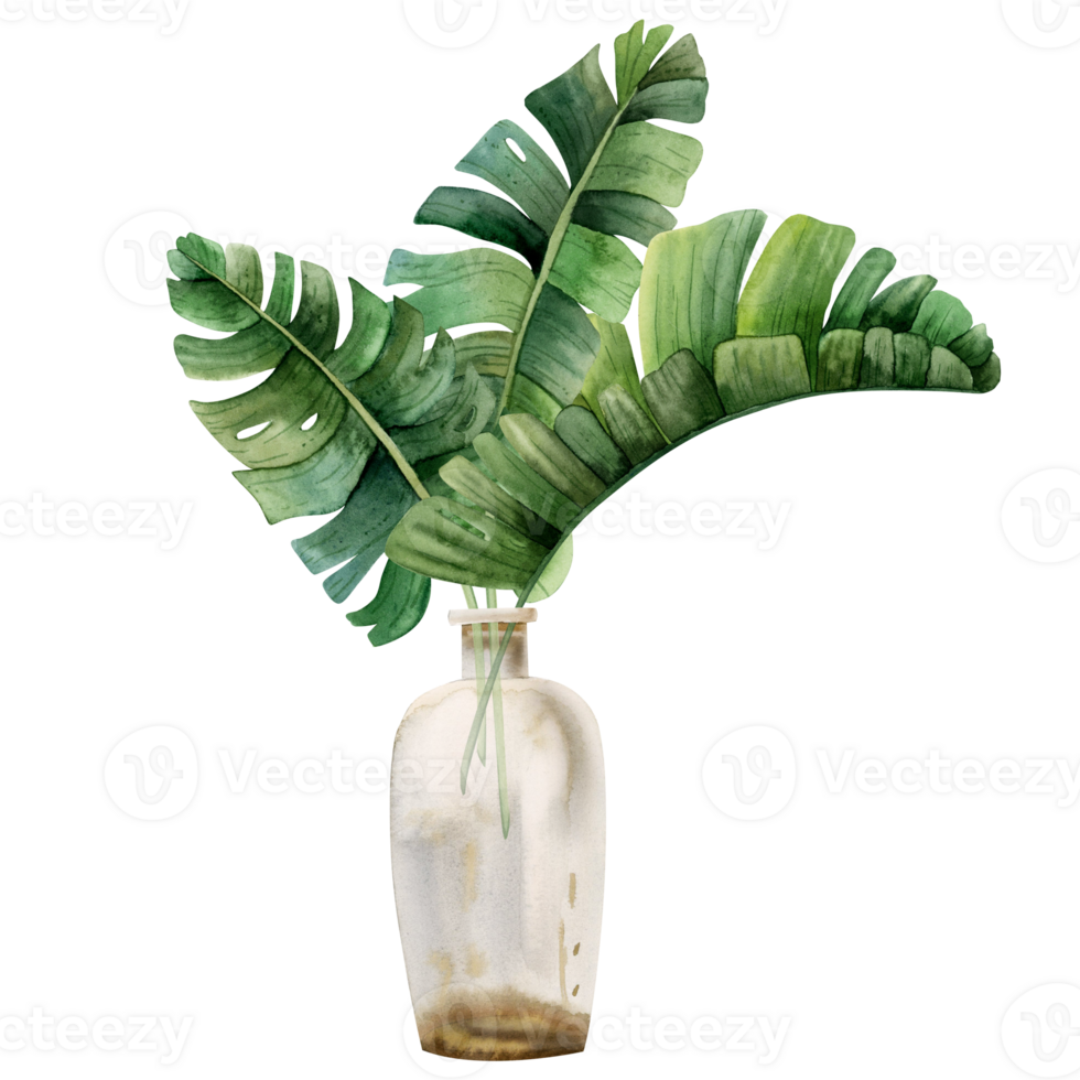 Tropical leaves of monstera, palm tree and banana in transparent vase bottle watercolor illustration. Trendy boho style summer clipart png