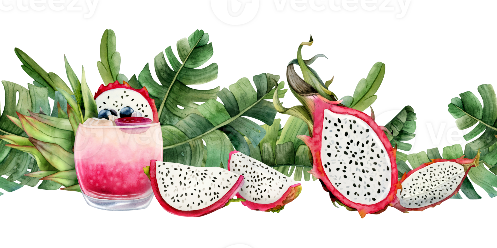 Red dragon fruits with pink pitahaya lemonade juice watercolor seamless banner. Botanical tropical jungle horizontal illustration for healthy summer menus and recipes png