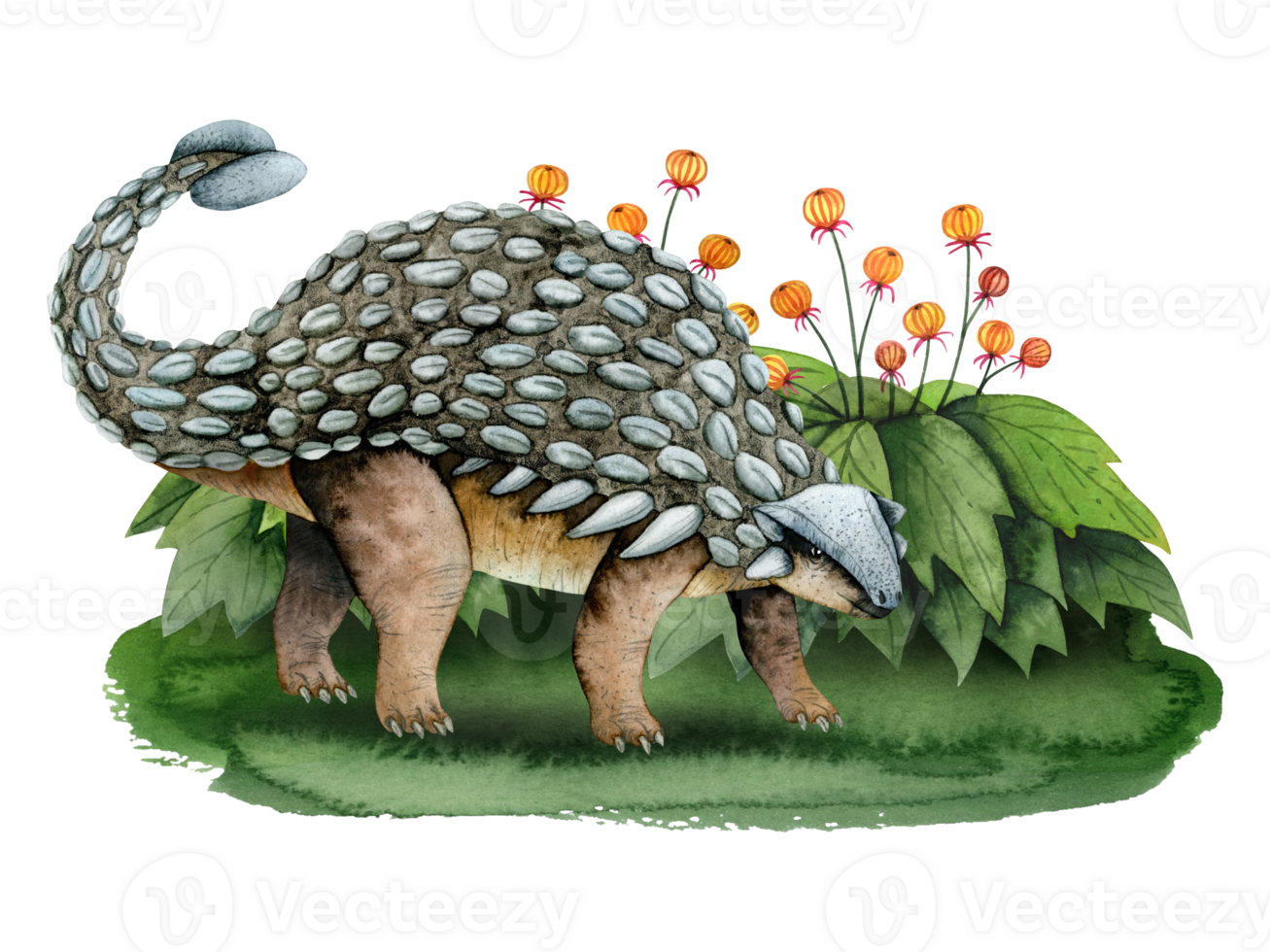 Ankylosaurus dinosaur on green grass with fantasy bushes with flowers landscape watercolor illustration. Hand drawn detailed prehistoric animal clipart from Mesozoic era png