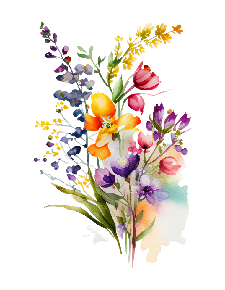 Watercolor Flower, Watercolor Flower , Watercolor Colorful Spring Flowers , Flower Background png