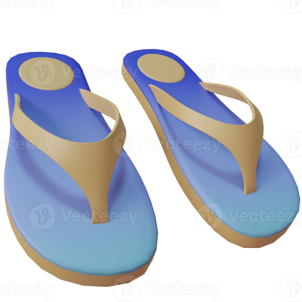 3d stylish slippers png