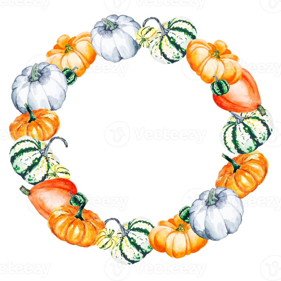 Watercolor illustration of bright pumpkins on a transparent background. Drawn watercolor wreath of vegetables. png