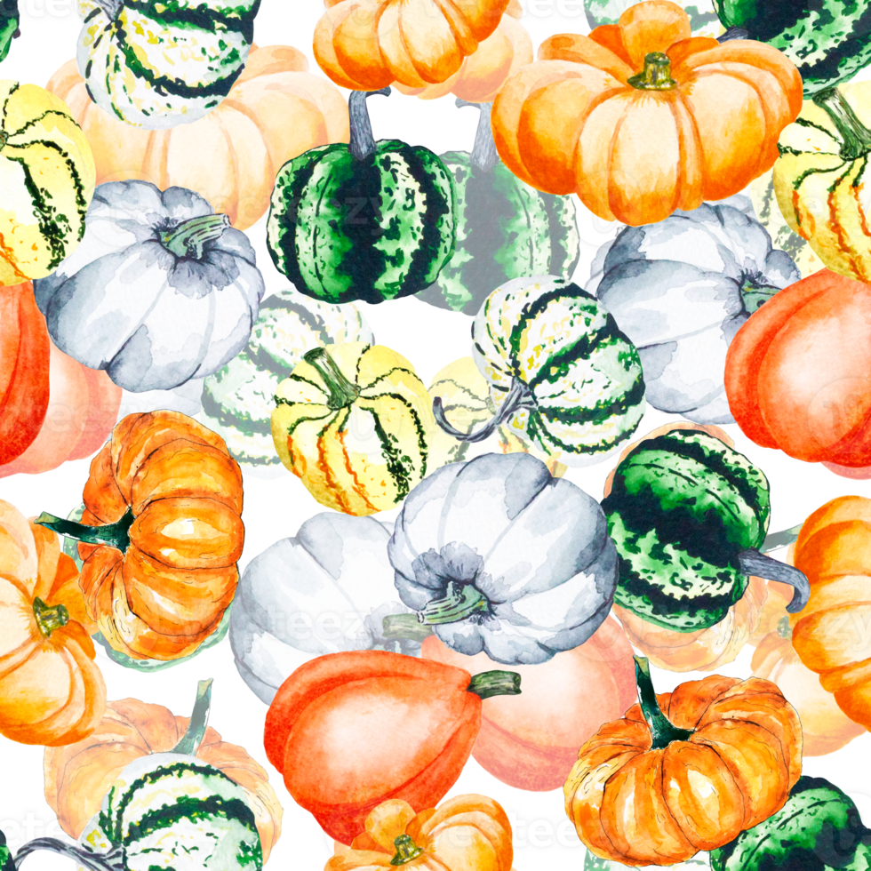 Pumpkins. Watercolor drawing of bright pumpkins. Seamless pattern with vegetables on a transparent background. png