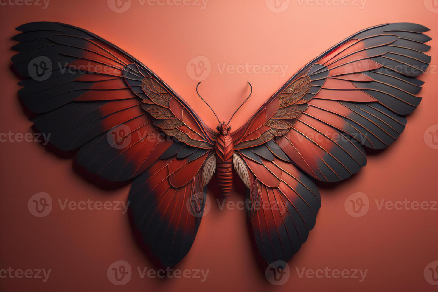 Butterfly wings on a red background. photo