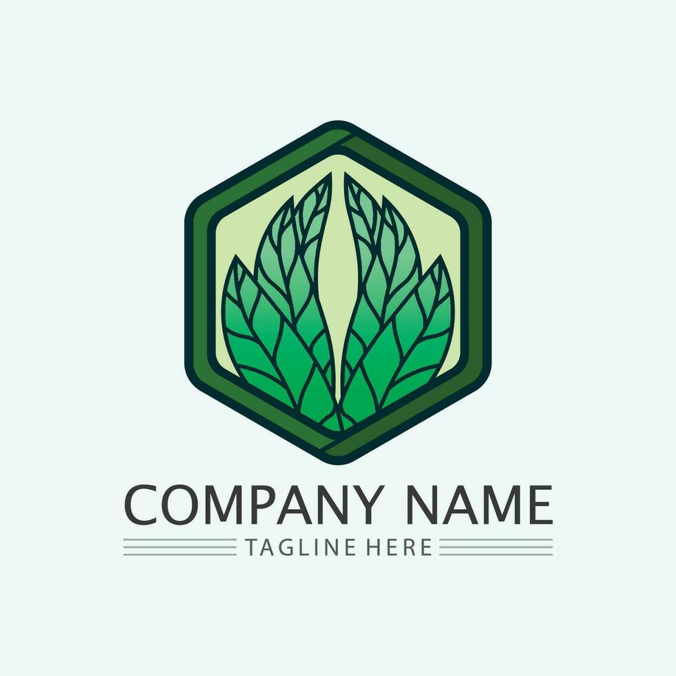 leaf logo design vector for nature symbol template editable,Green leaf logo ecology nature element vector icon.