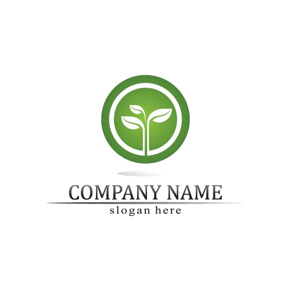 Tree leaf vector and green logo design friendly concept