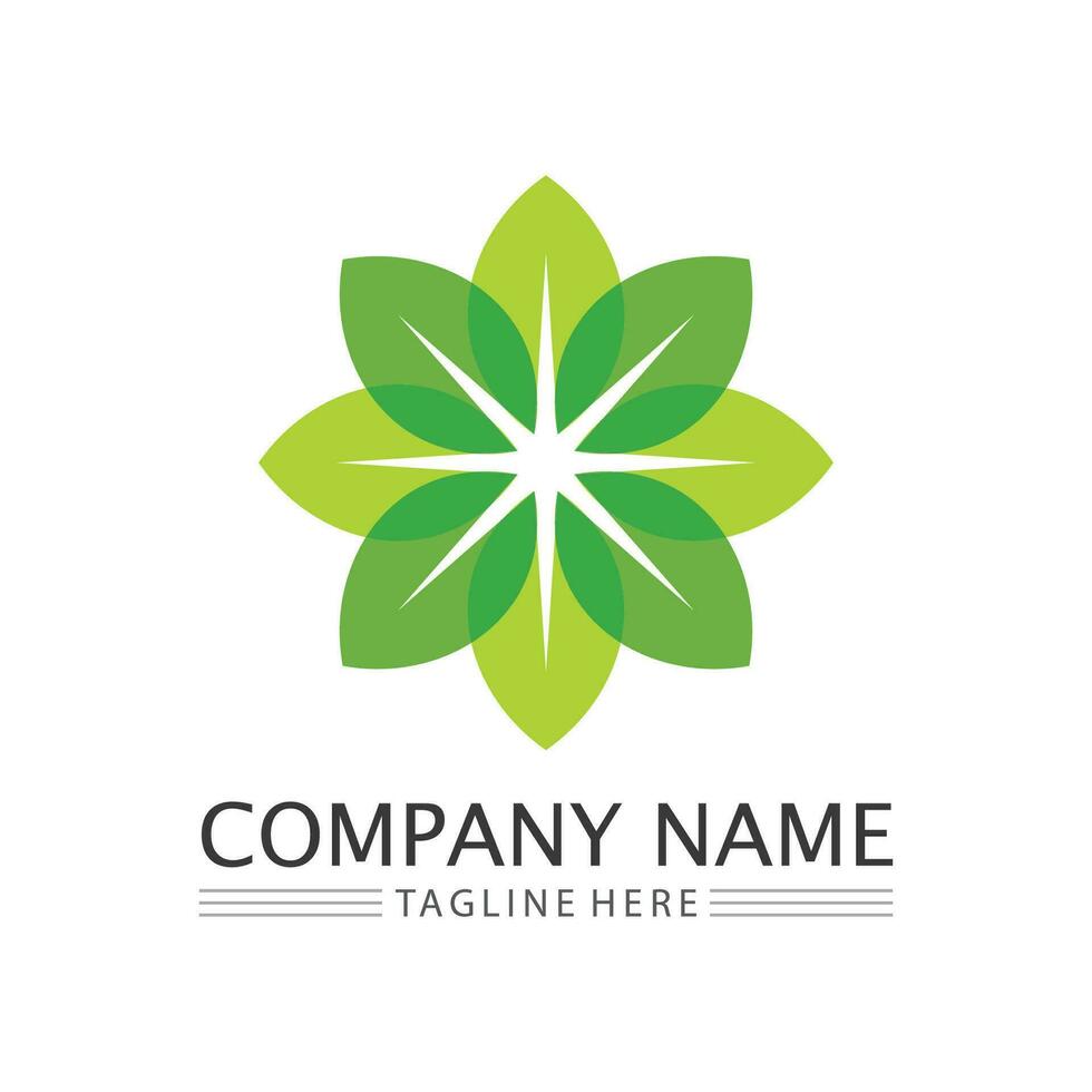 Tree logo icon vector illustration design.Vector silhouette of a tree templates of tree logo and roots  tree of life design illustration