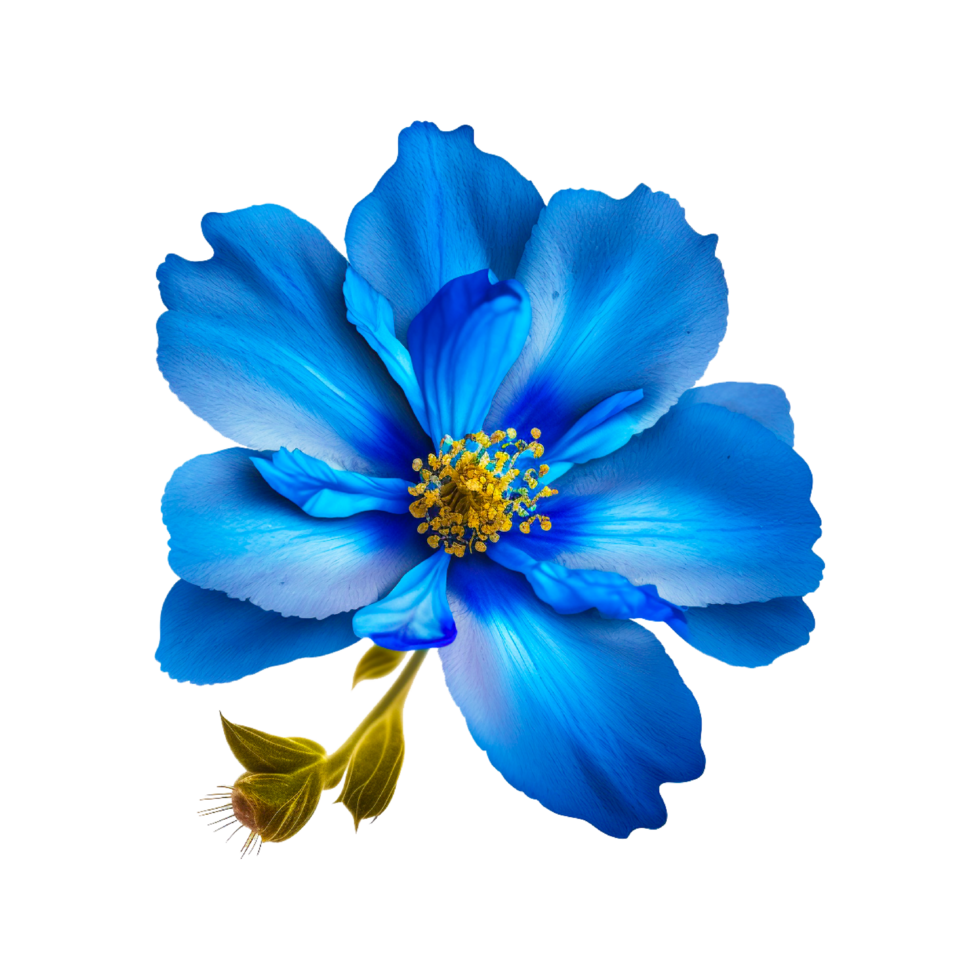 blauw gerbera bloem PNG generatief ai