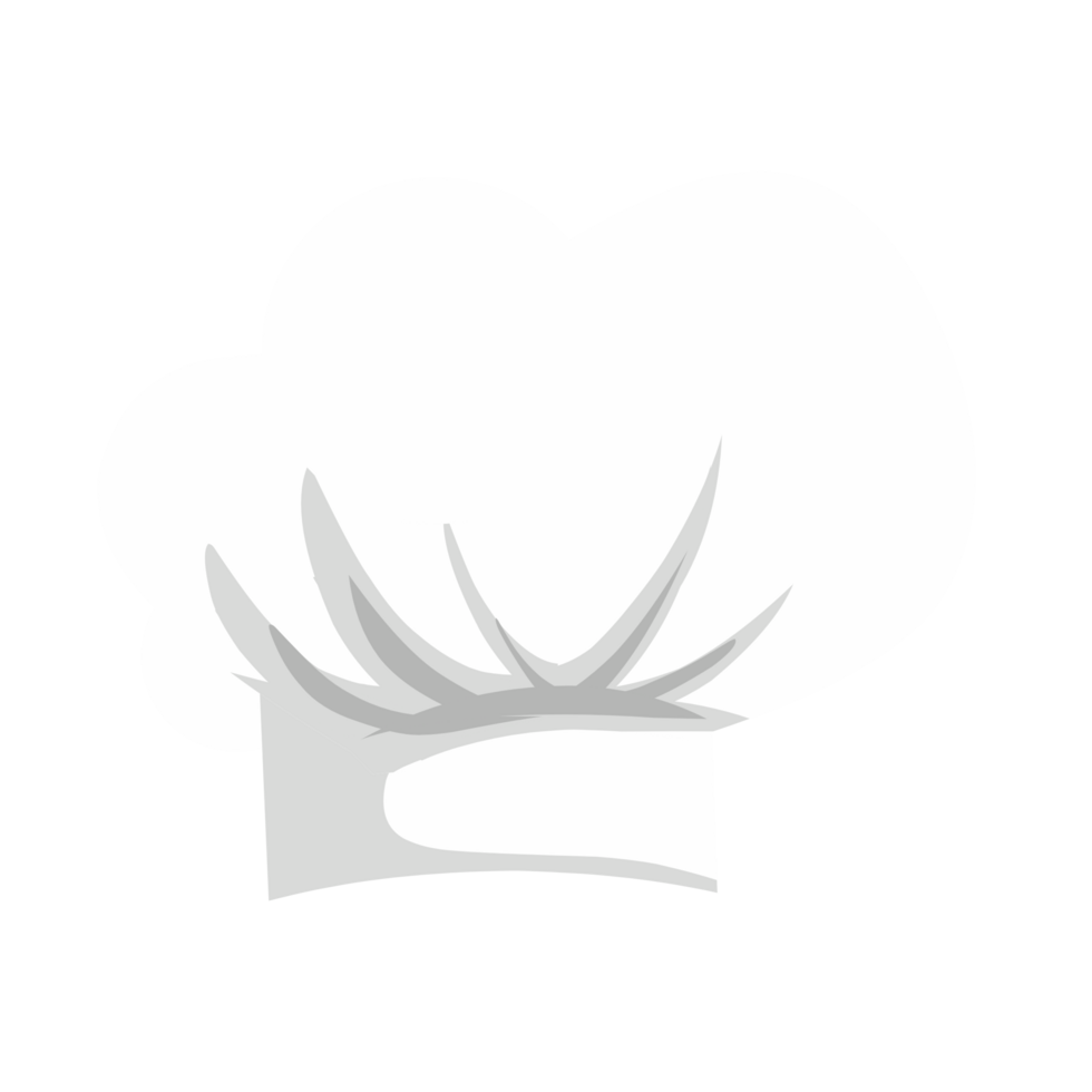 ilustração de chapéu de chef png