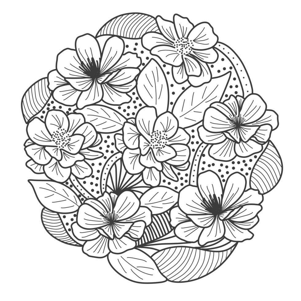 flower-outline-for-coloring-book-24728822-png