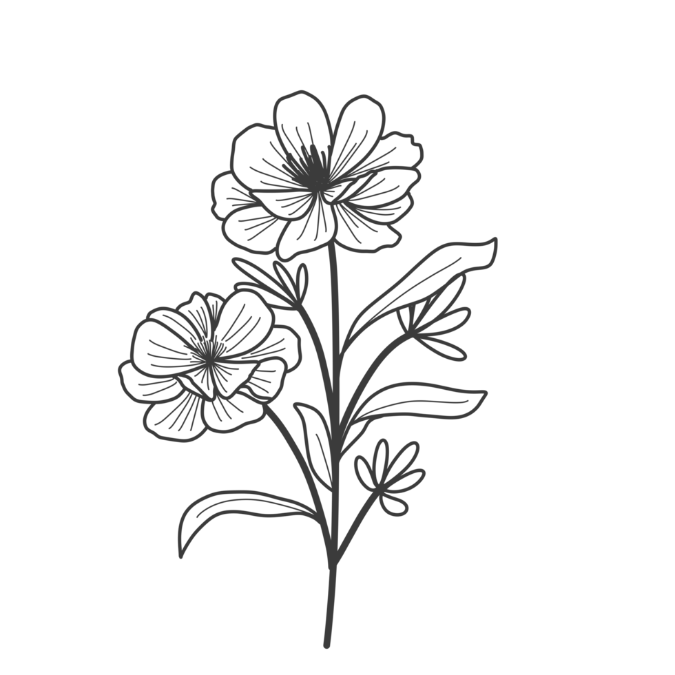 Flower outline for coloring book png