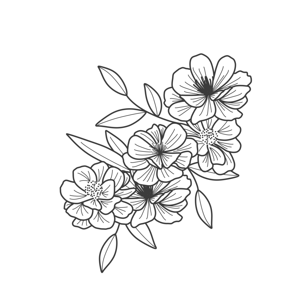 Flower outline for coloring book png