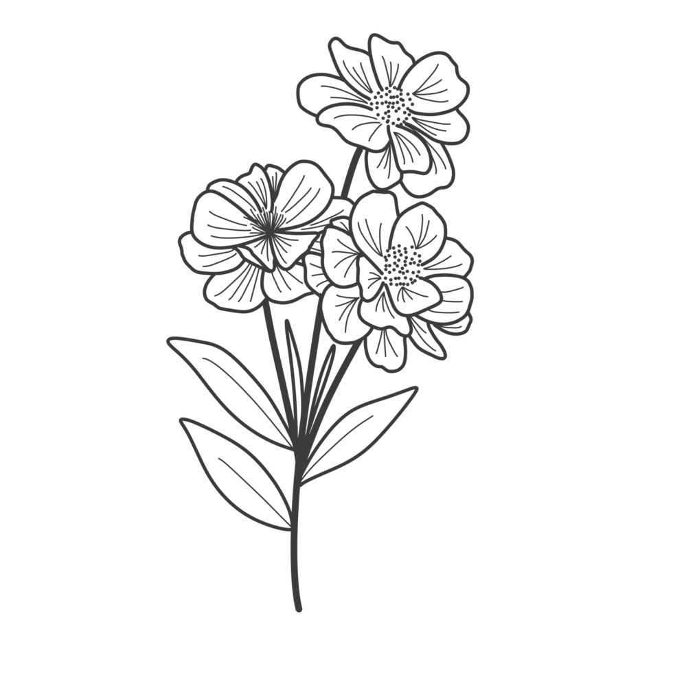 Flower outline for coloring book png