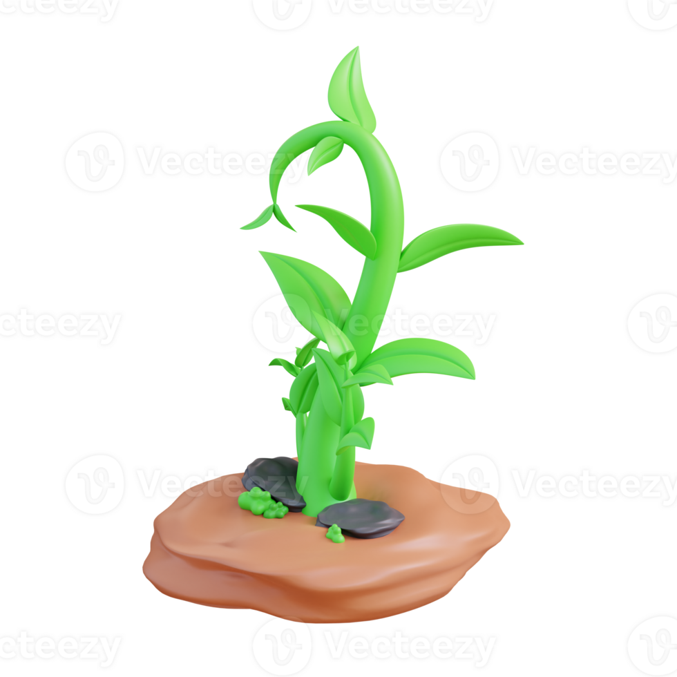 3d illustration of plant growth png