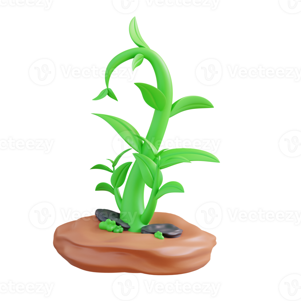 3d illustration of plant growth png