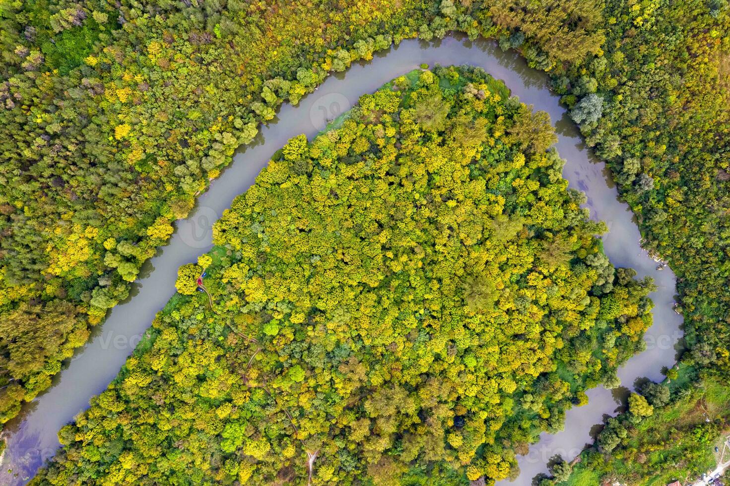 aéreo ver de otoño bosque y río curva. aves ojo ver foto