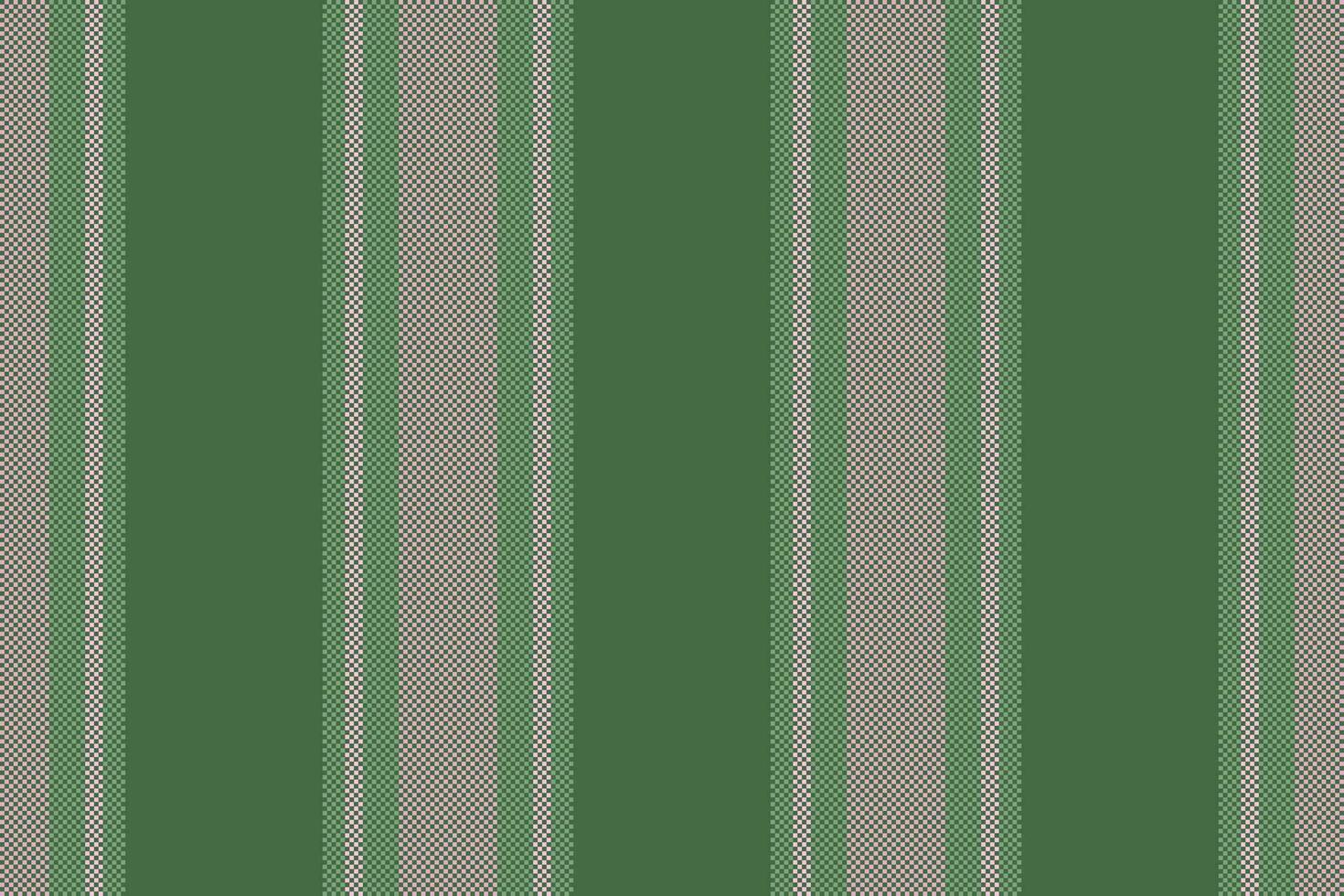 Texture pattern lines of fabric stripe textile with a background seamless vector vertical.