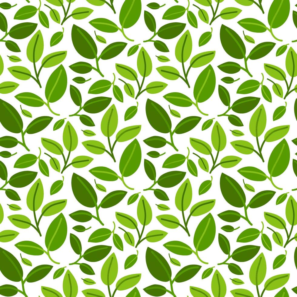 A pattern of green branches with many leaves. Background for printing on environmental topics. Fresh themes of spring, nature, flowering. Botanical seamless pattern, hand-drawn lines, artistic leaves vector