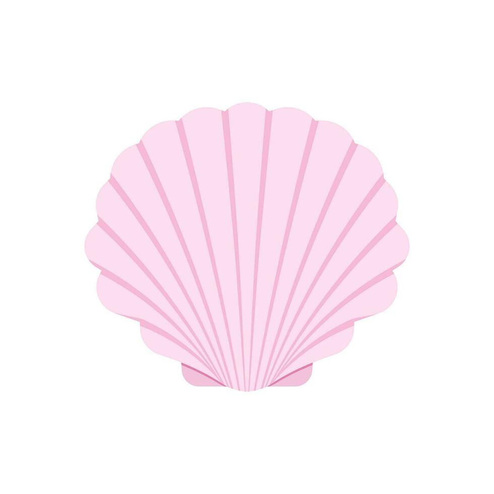 Scallop sea shell vector isolated on white background