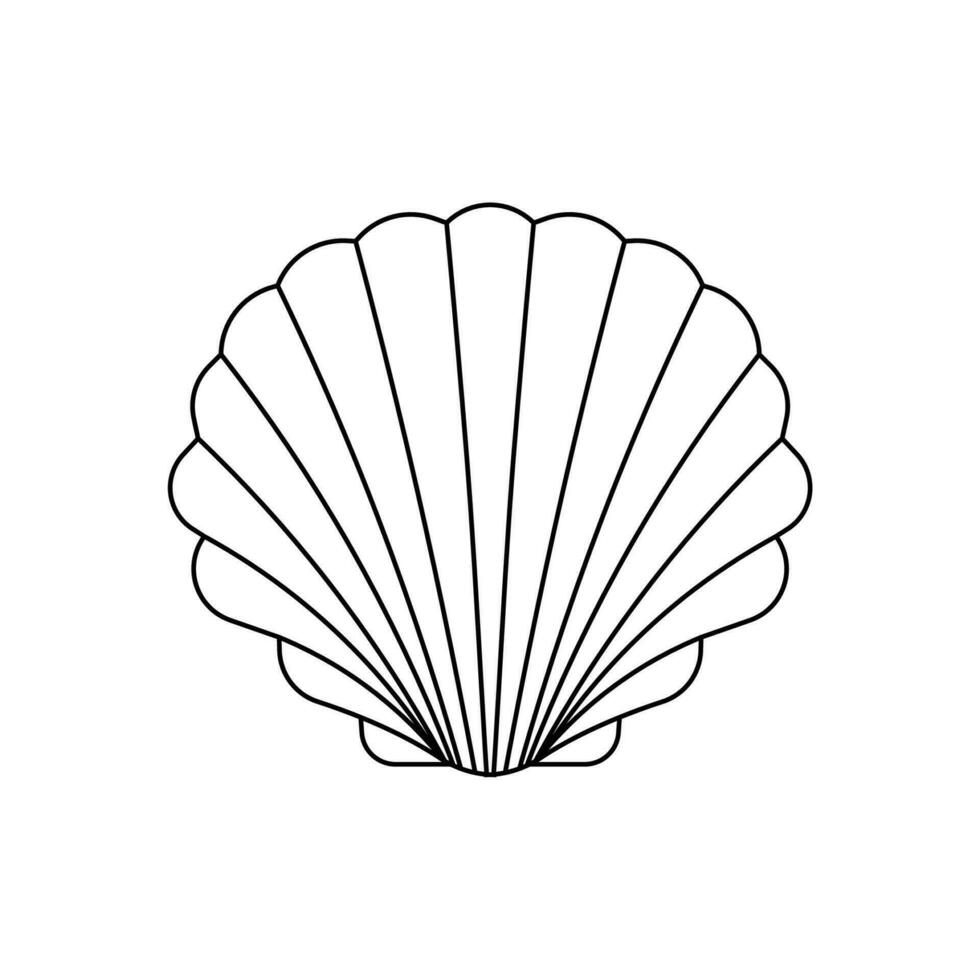 Scallop sea shell line art vector