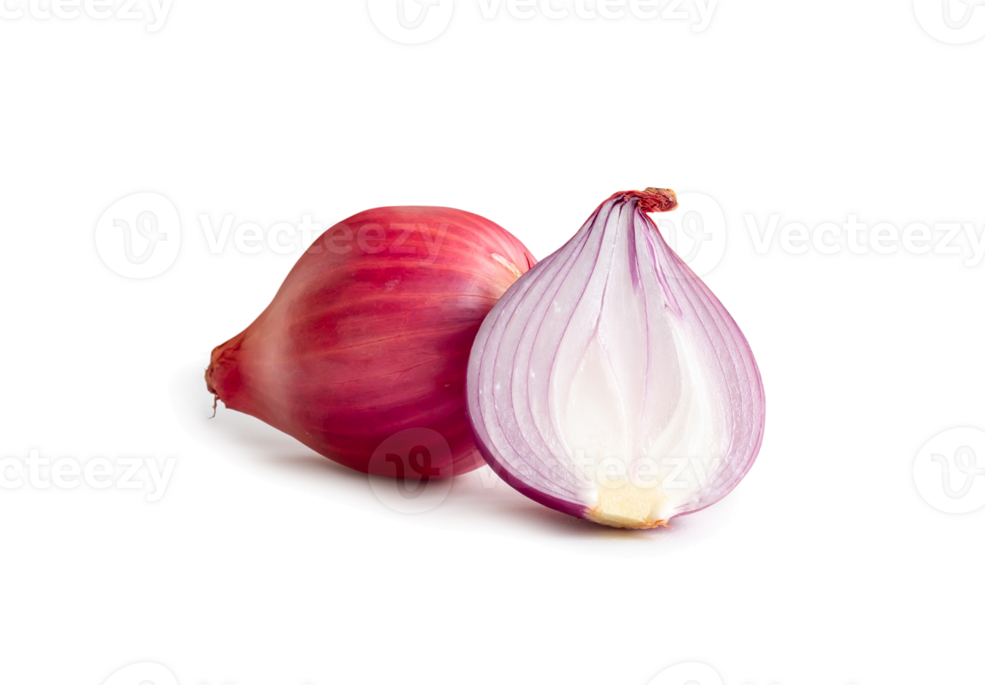 Fresh red onion bulb with half isolated with clipping path. and shadow in png file format