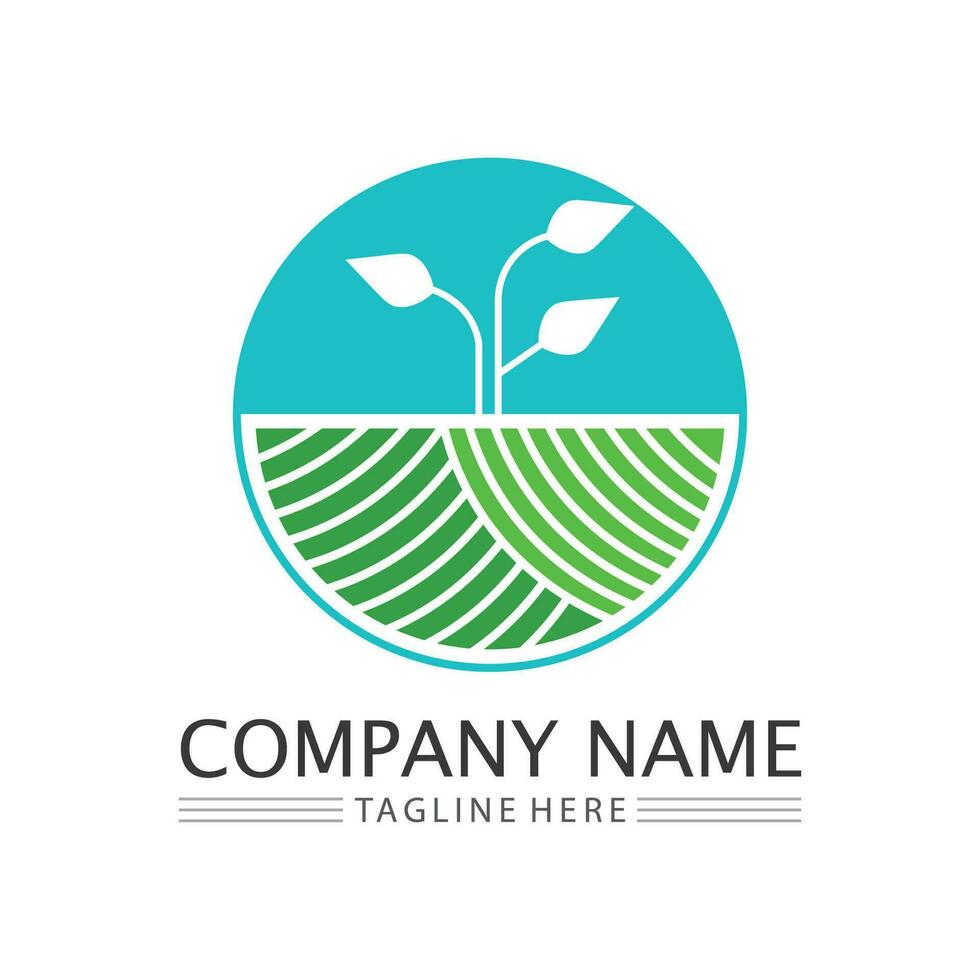 Tree logo icon vector illustration design.Vector silhouette of a tree templates of tree logo and roots  tree of life design illustration