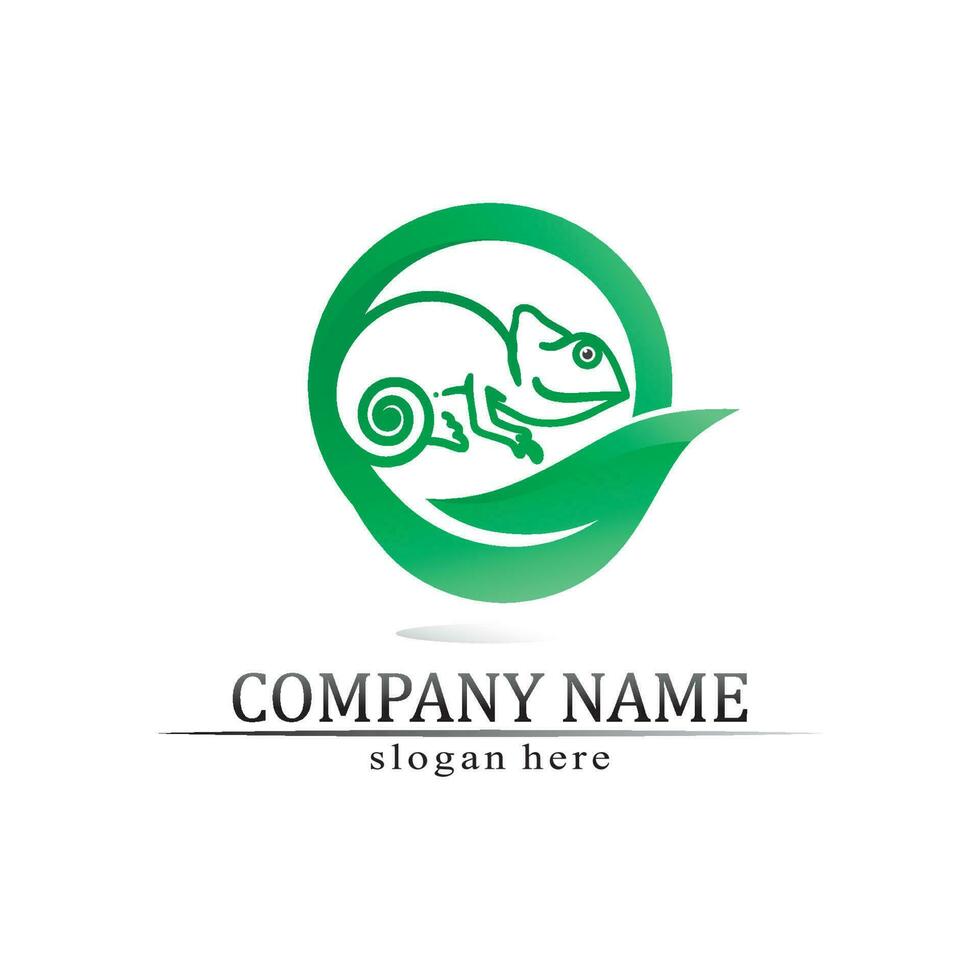 animal vector lizard salamander gecko crocodile and reptiles design logo