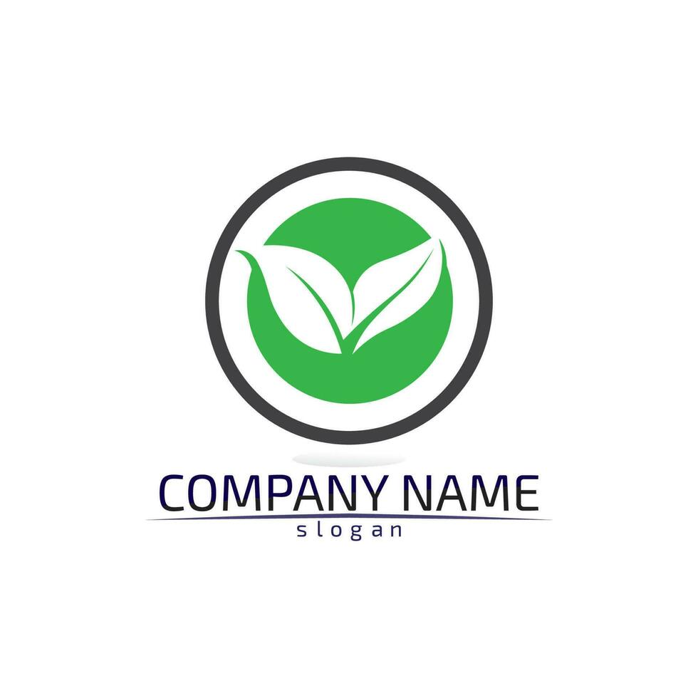 Tree leaf vector design eco friendly concept logo