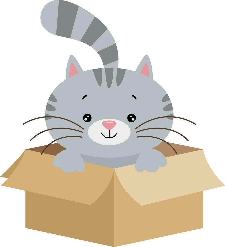 linda gris gato en cartulina caja vector