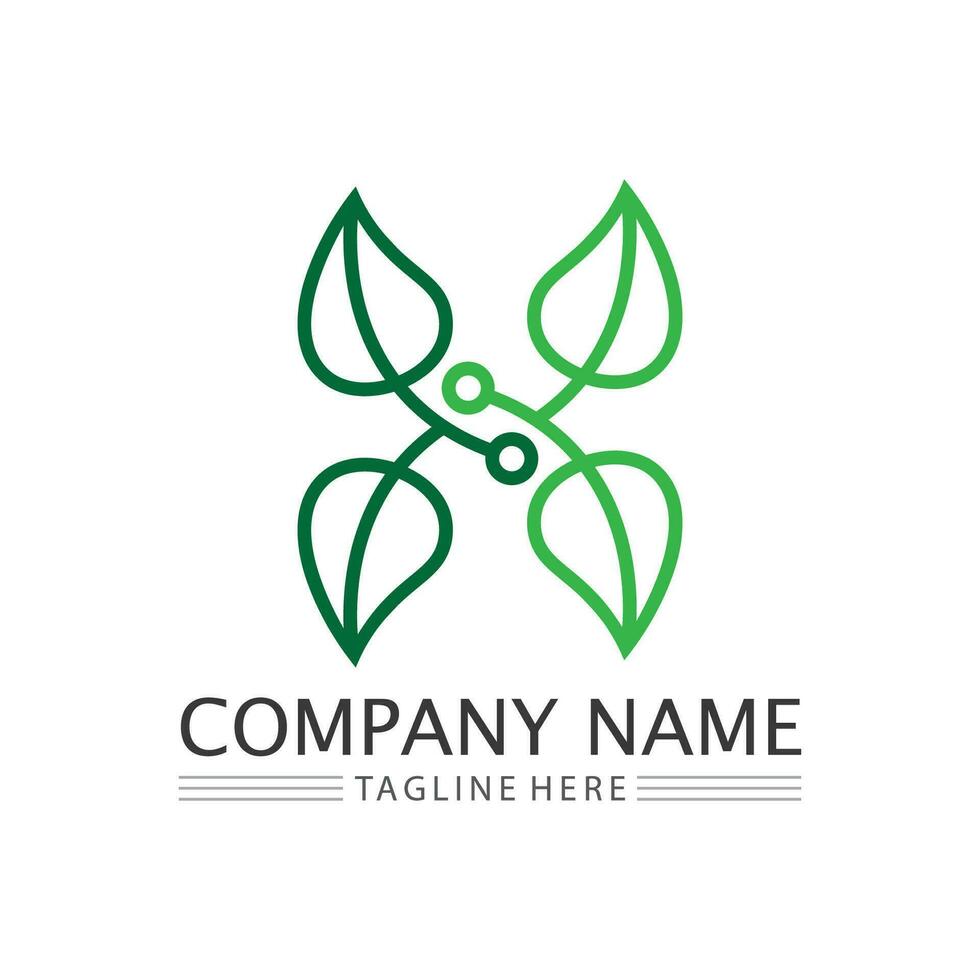 leaf logo design vector for nature symbol template editable,Green leaf logo ecology nature element vector icon.