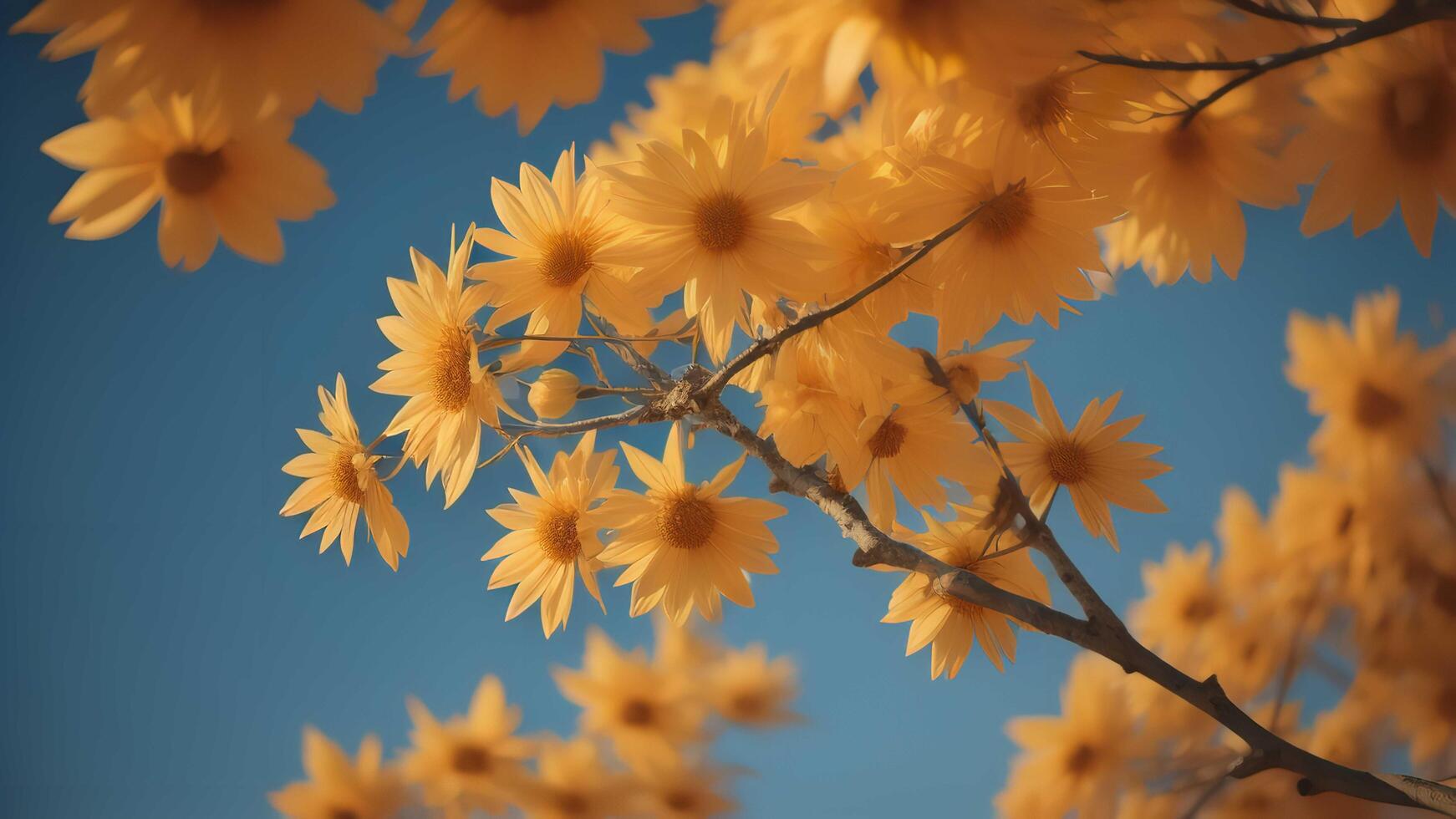 Beautiful yellow flowers with blue sky background in vintage color style, photo